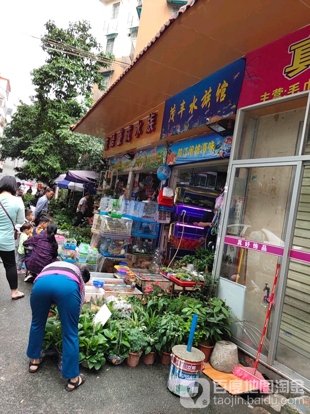 花语豪成水景(金箔广场店)