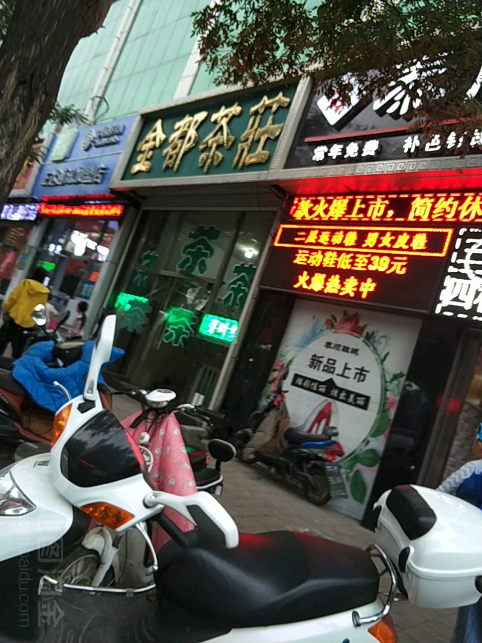 金都茶庄(东大街店)