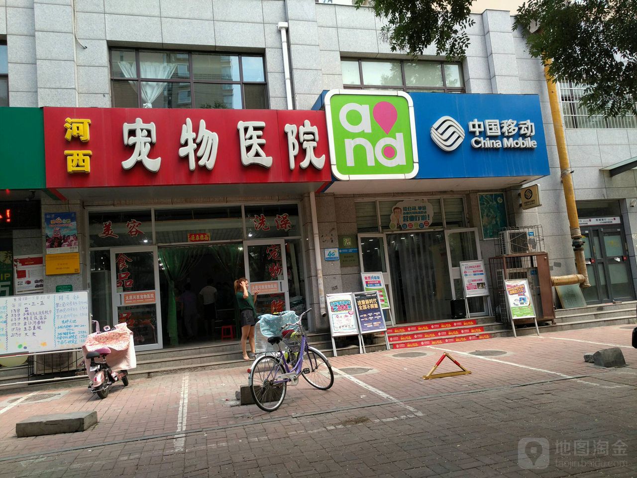 河西宠物医院