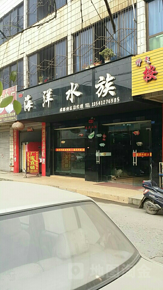 海洋水族(2壹号店)