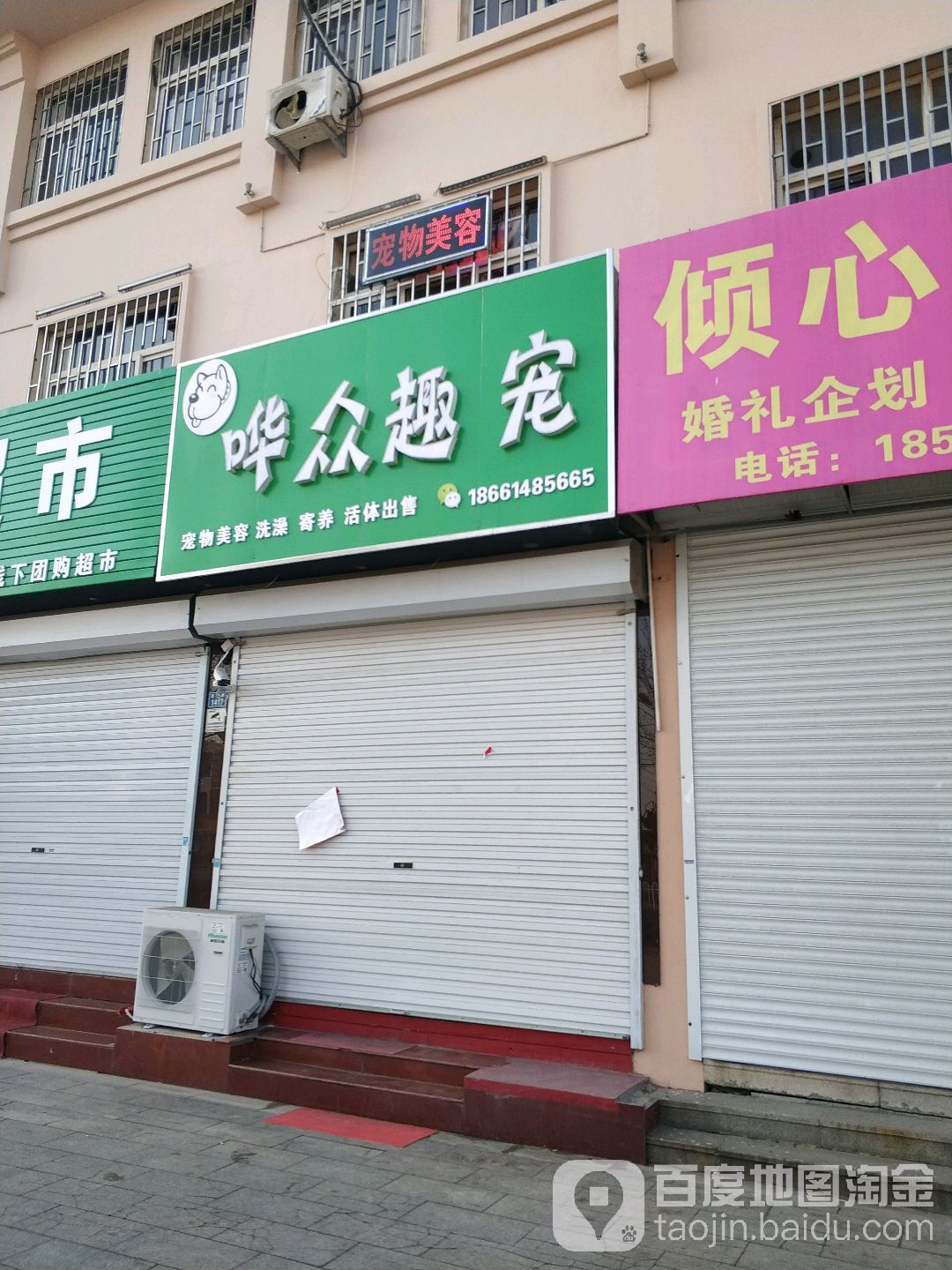 哗众趣宠宠物店