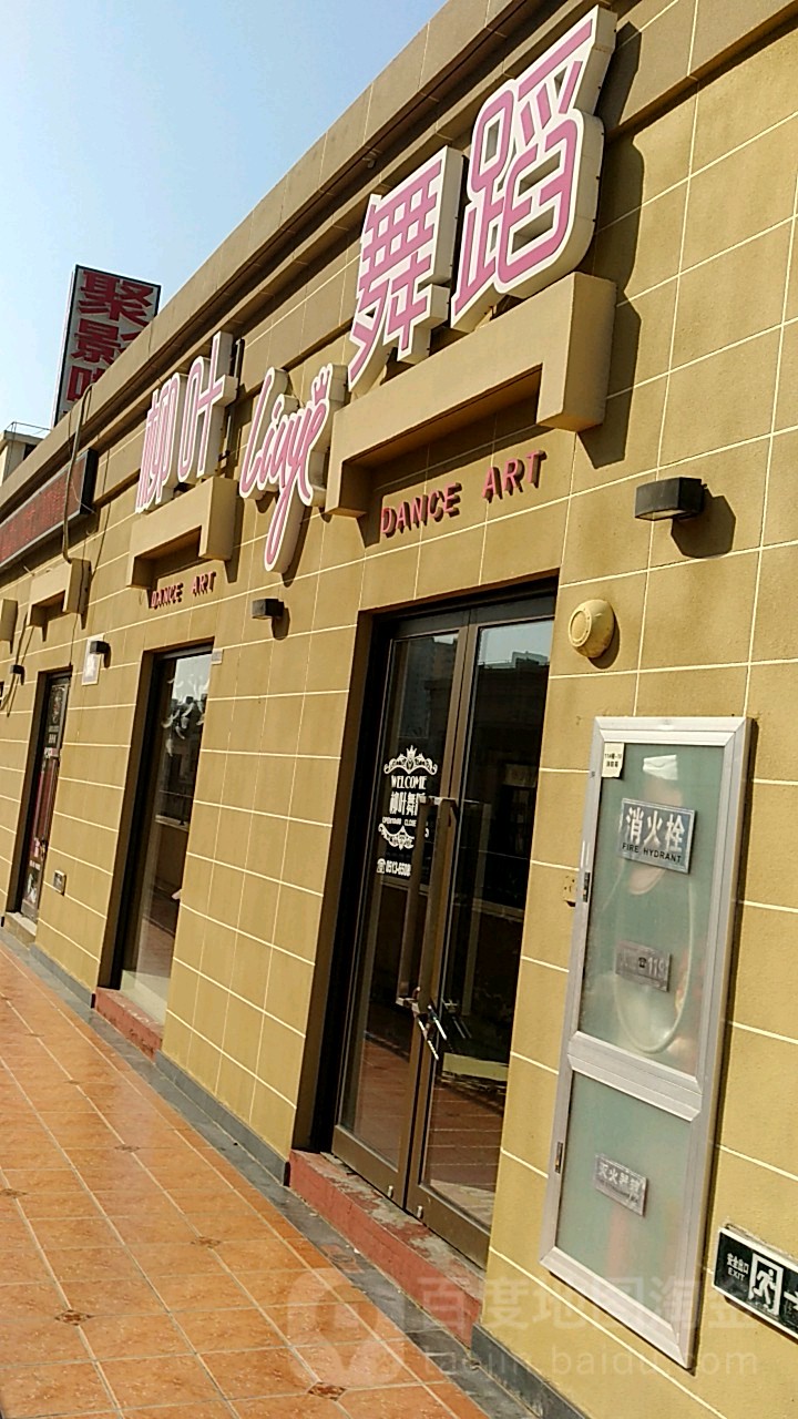 柳叶舞蹈(南通世茂广场店)