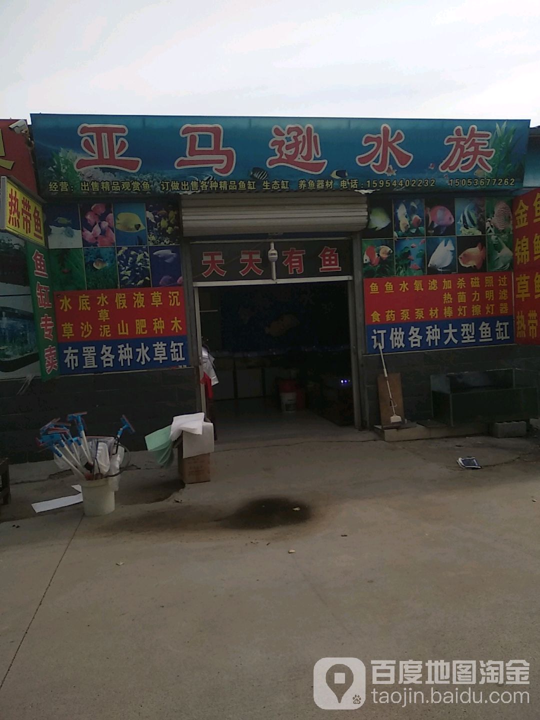 亚马孙水族(驼山北路店)