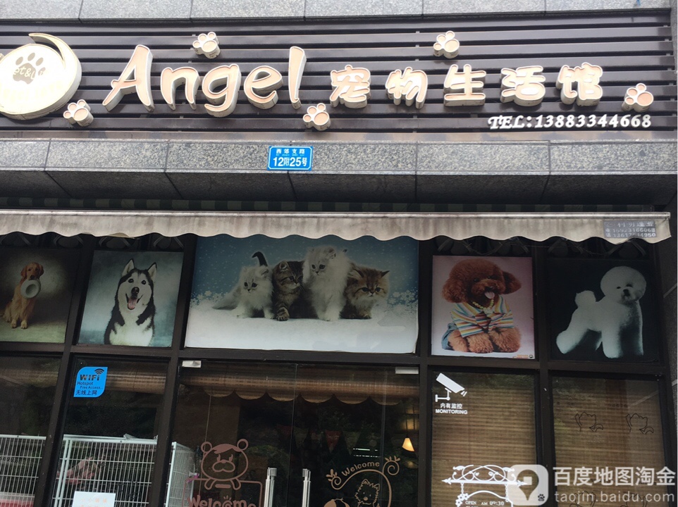 ANGEL宠物生活馆(横大绿洲B区店)