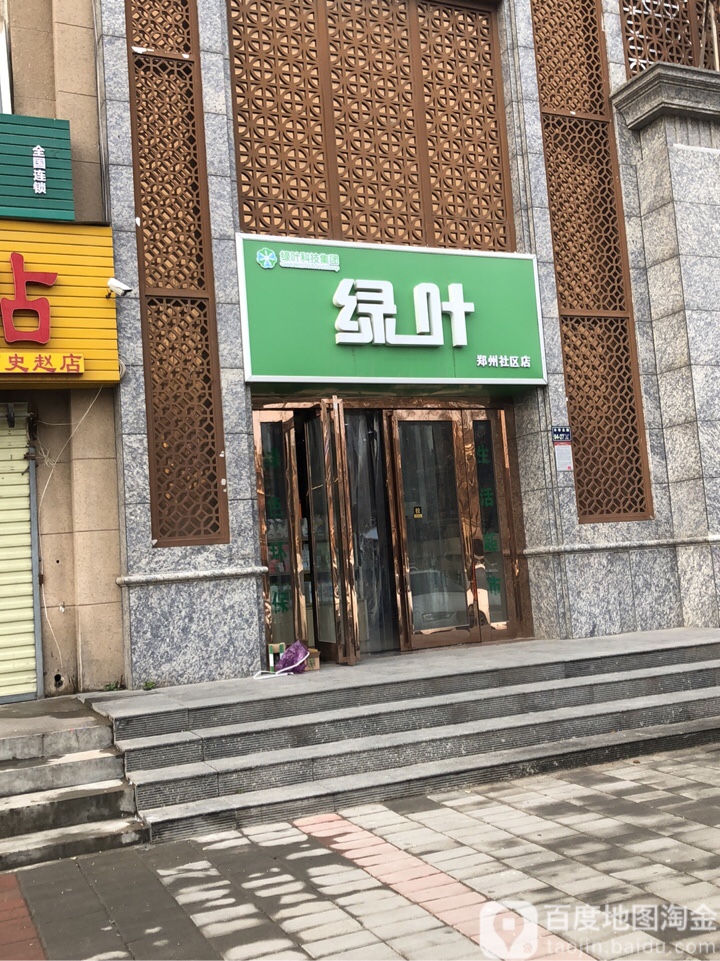 绿叶(郑州旗舰店)