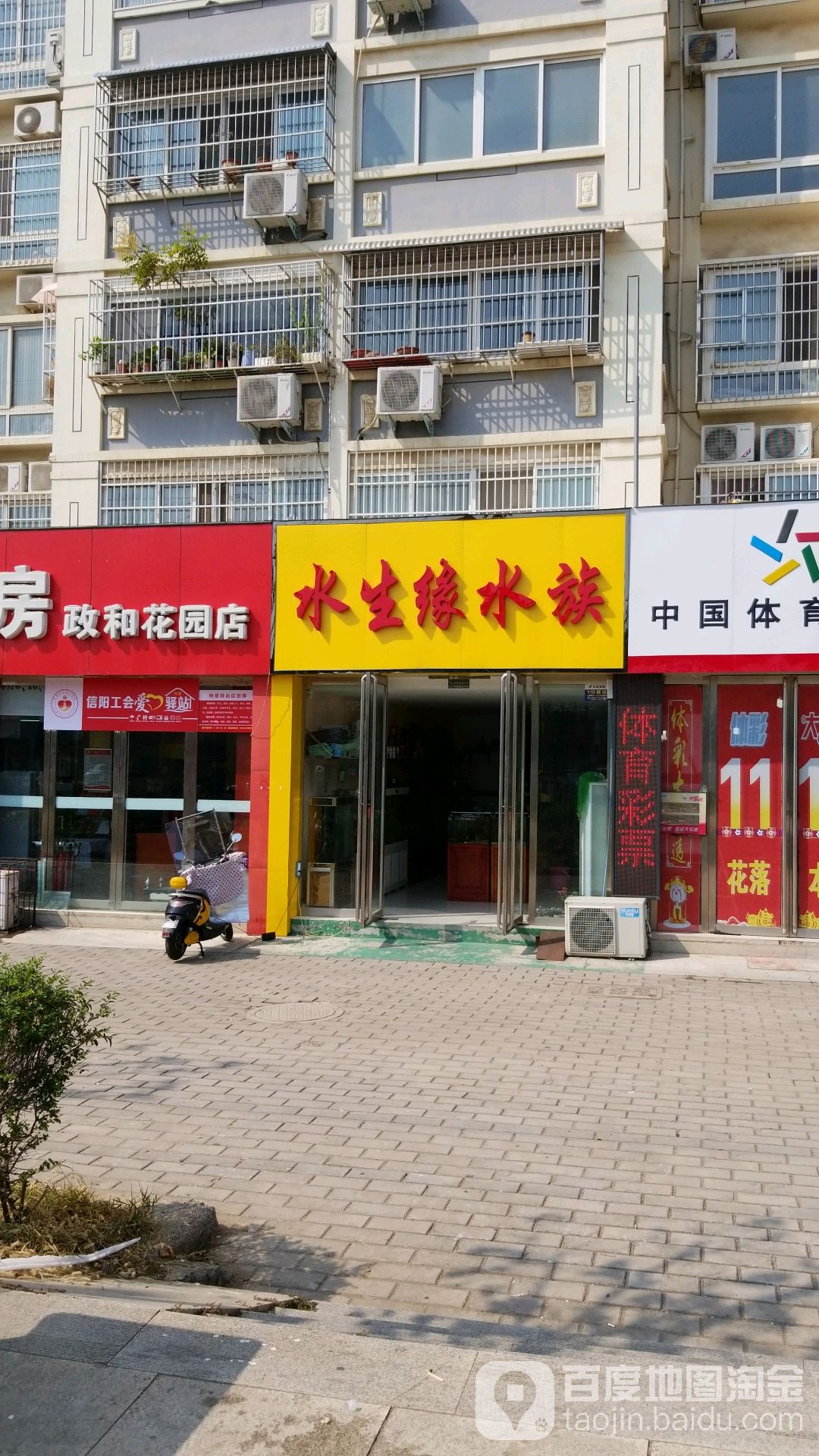 水生缘水族(新五大道店)