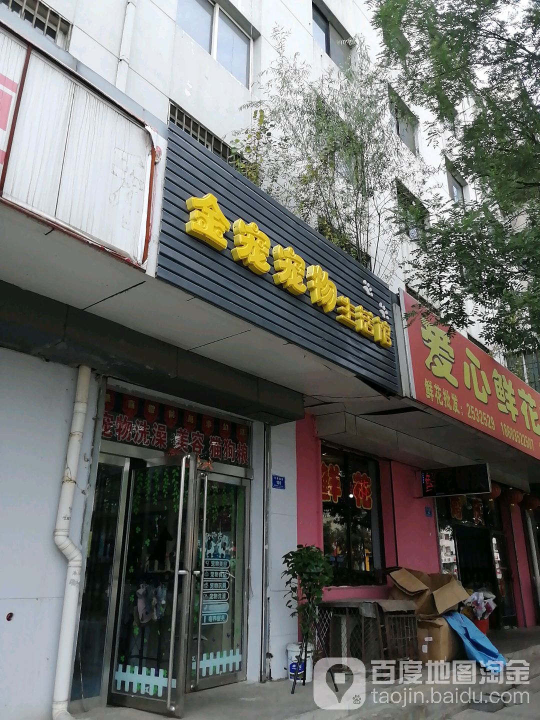 金宠宠物生活馆