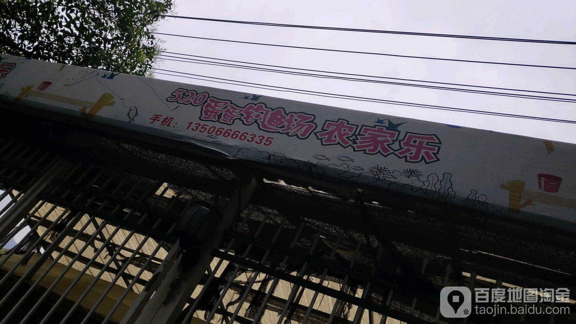 520蛋蛋钓鱼场农家乐