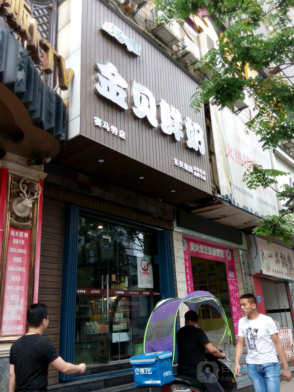 金贝鲜奶(赛马特店)