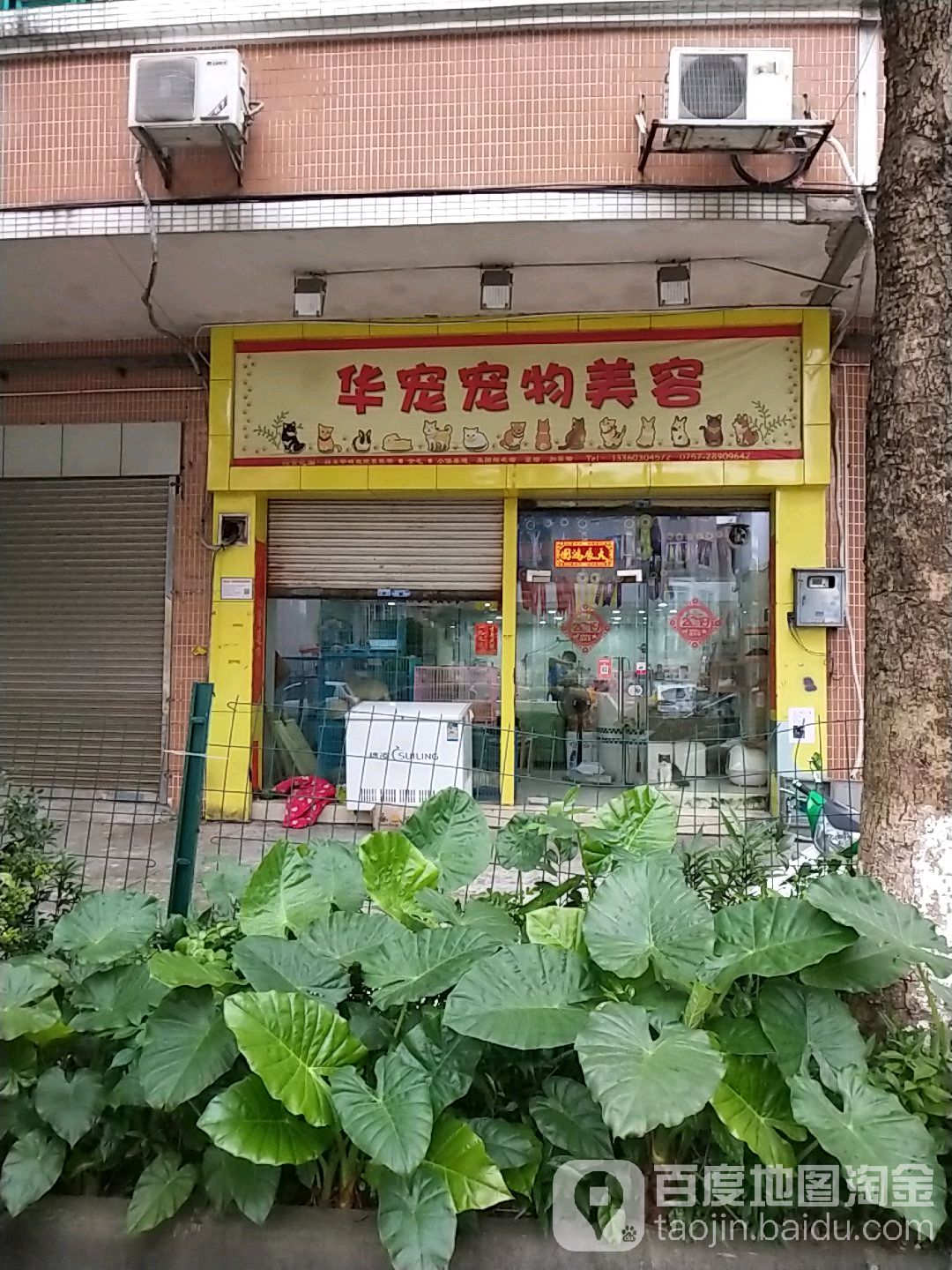 华宠宠物美容