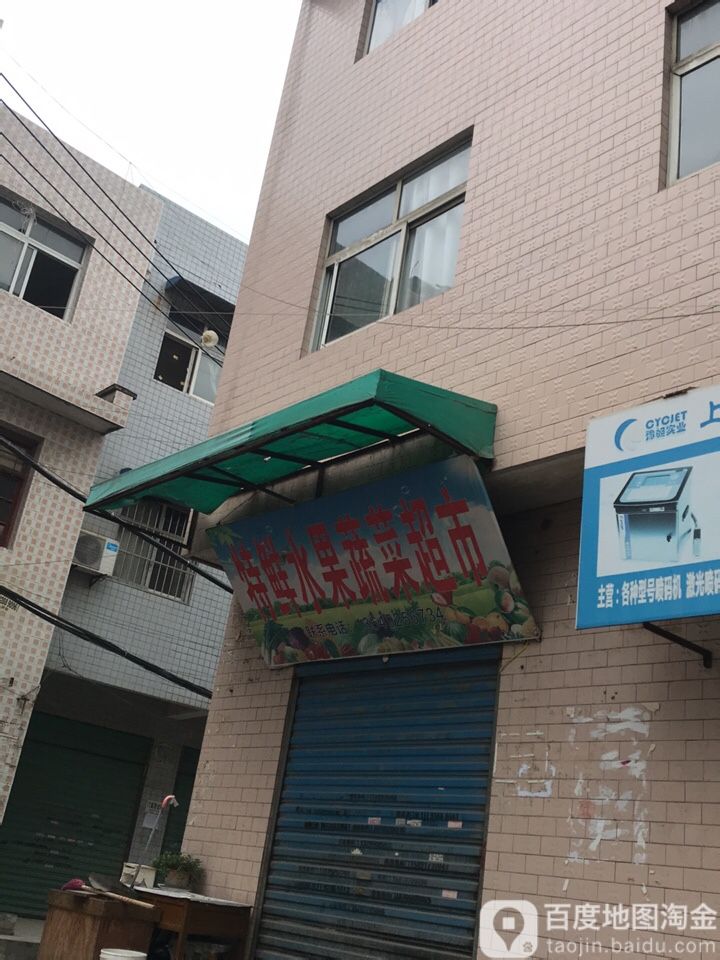 特鲜水果蔬菜超市