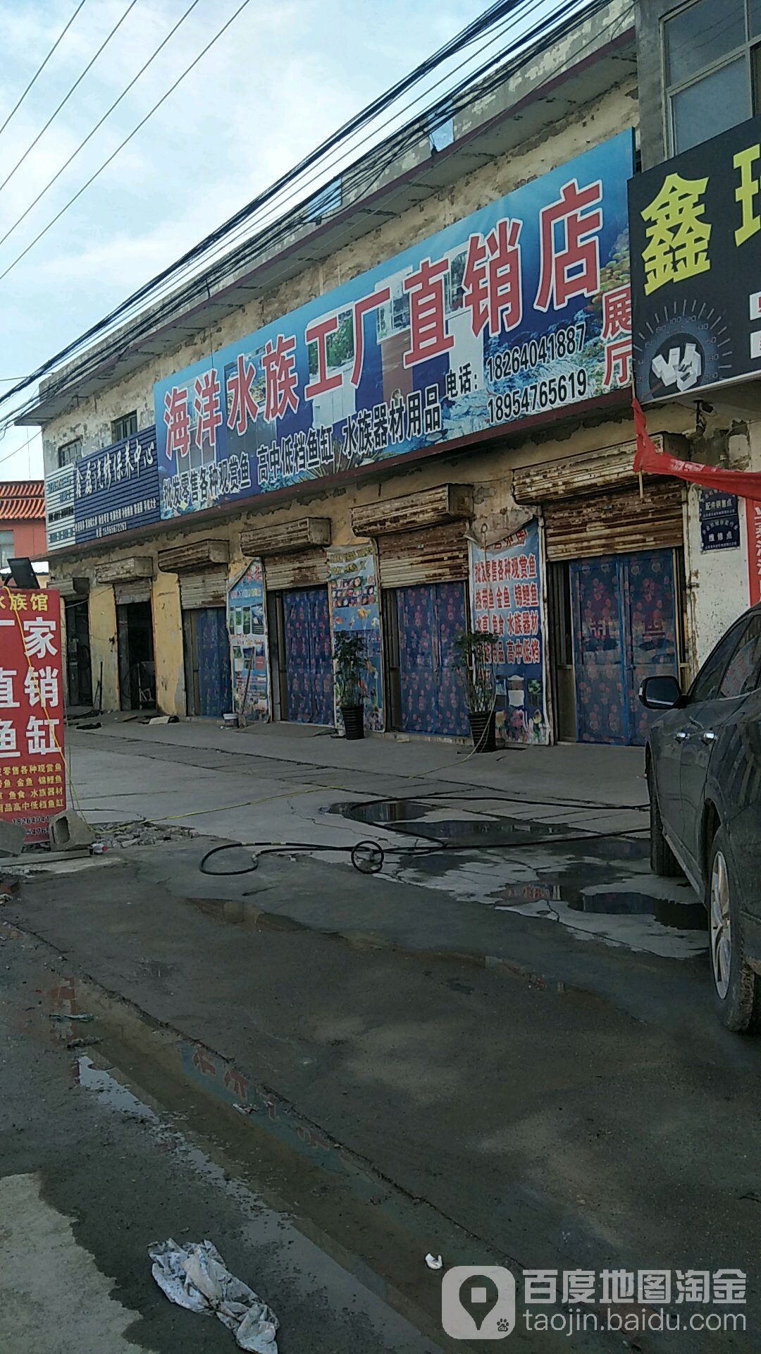 海洋水族广厂直销店