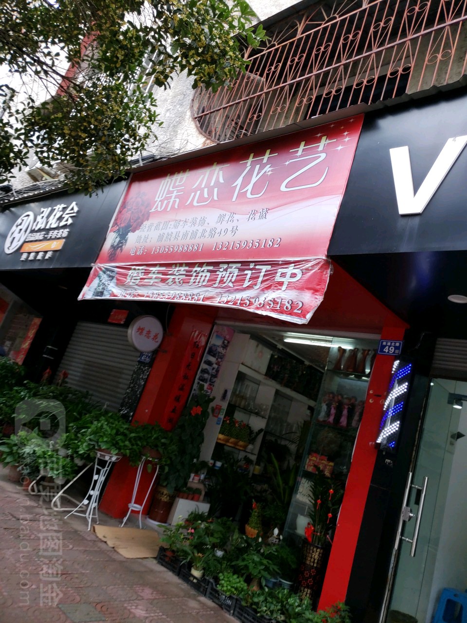 蝶恋花艺(南浦北路店)