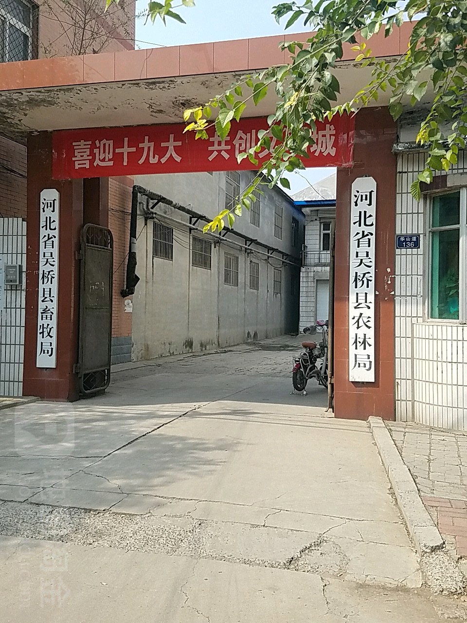 吴桥县乡镇图片