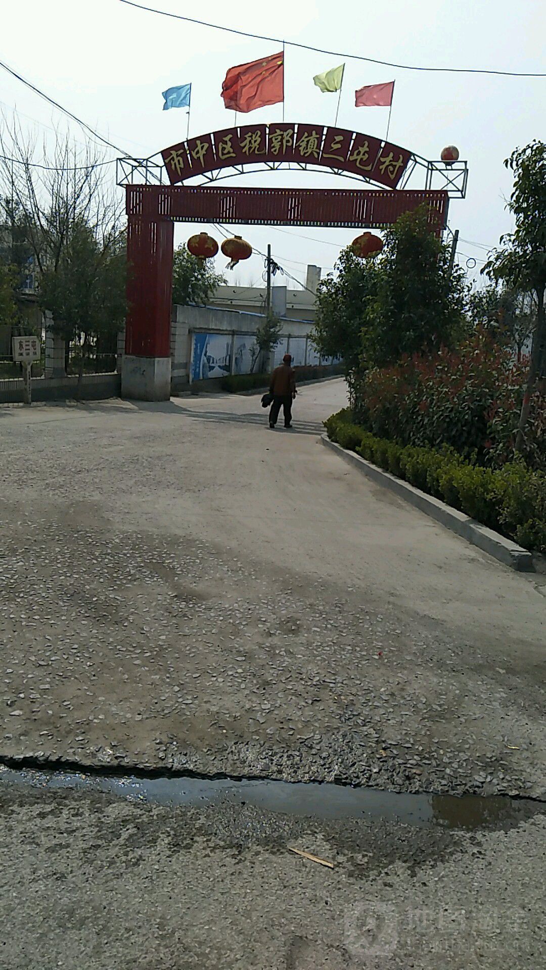 枣庄市市中区二零六国道