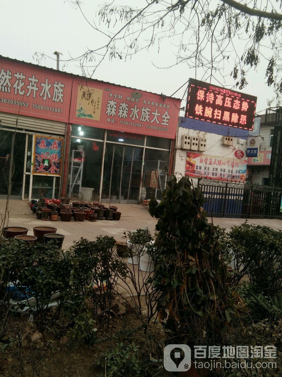 森森水族大全(新华大街店)