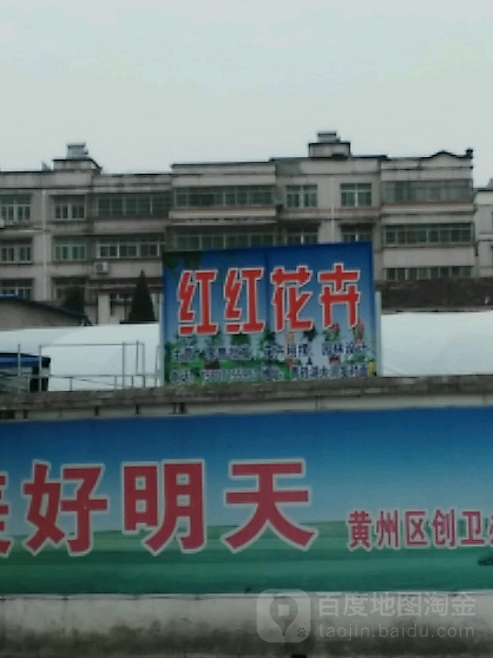 红红花卉