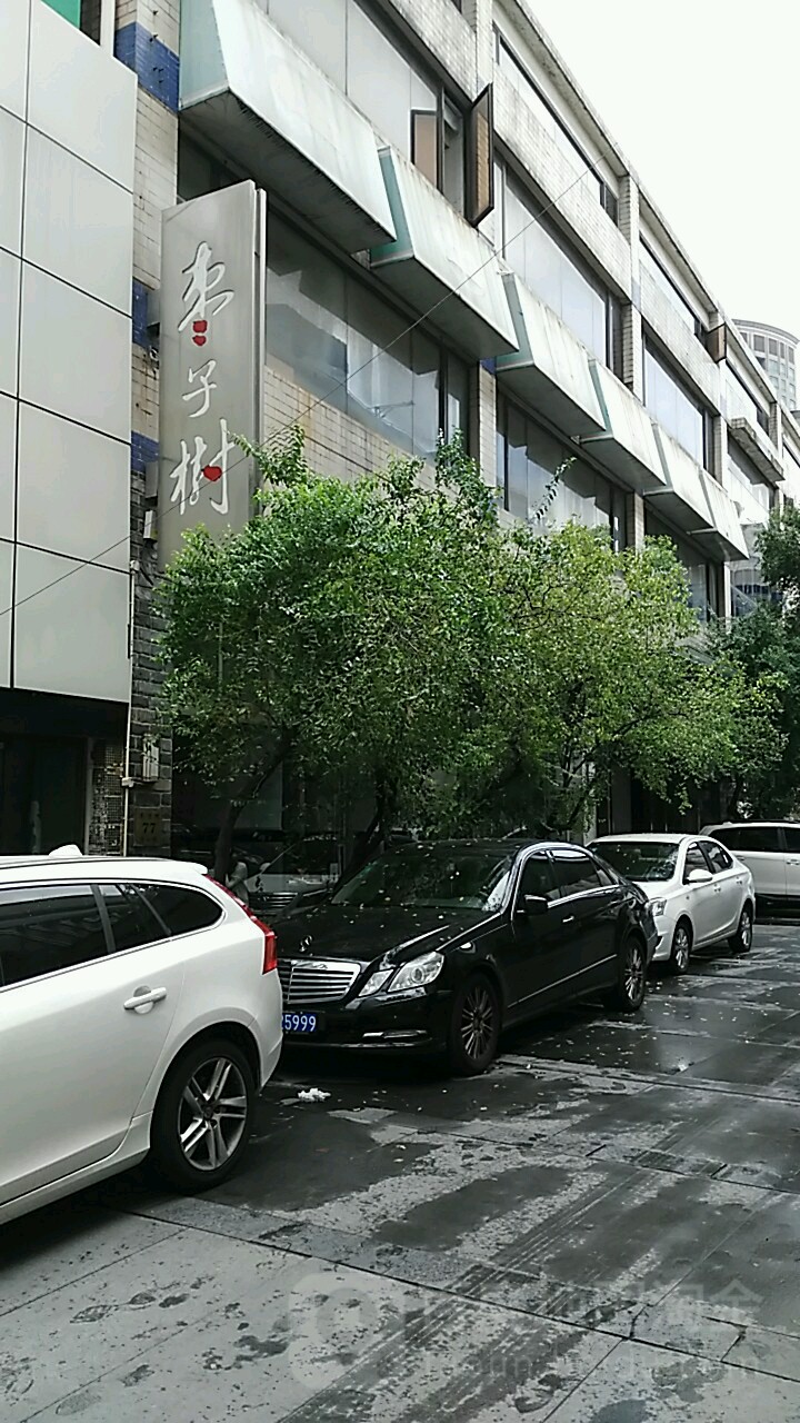 枣子村