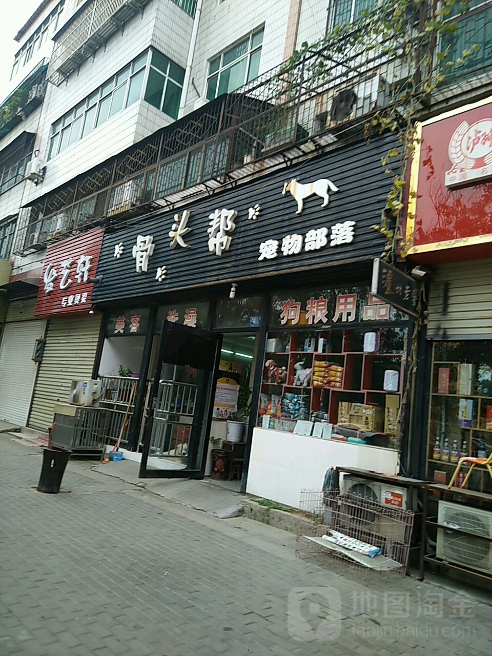 骨头帮宠物部落