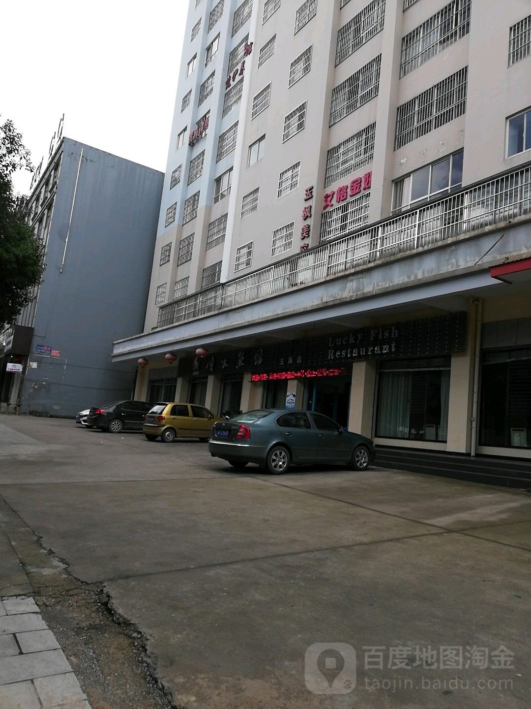 艾格金妍