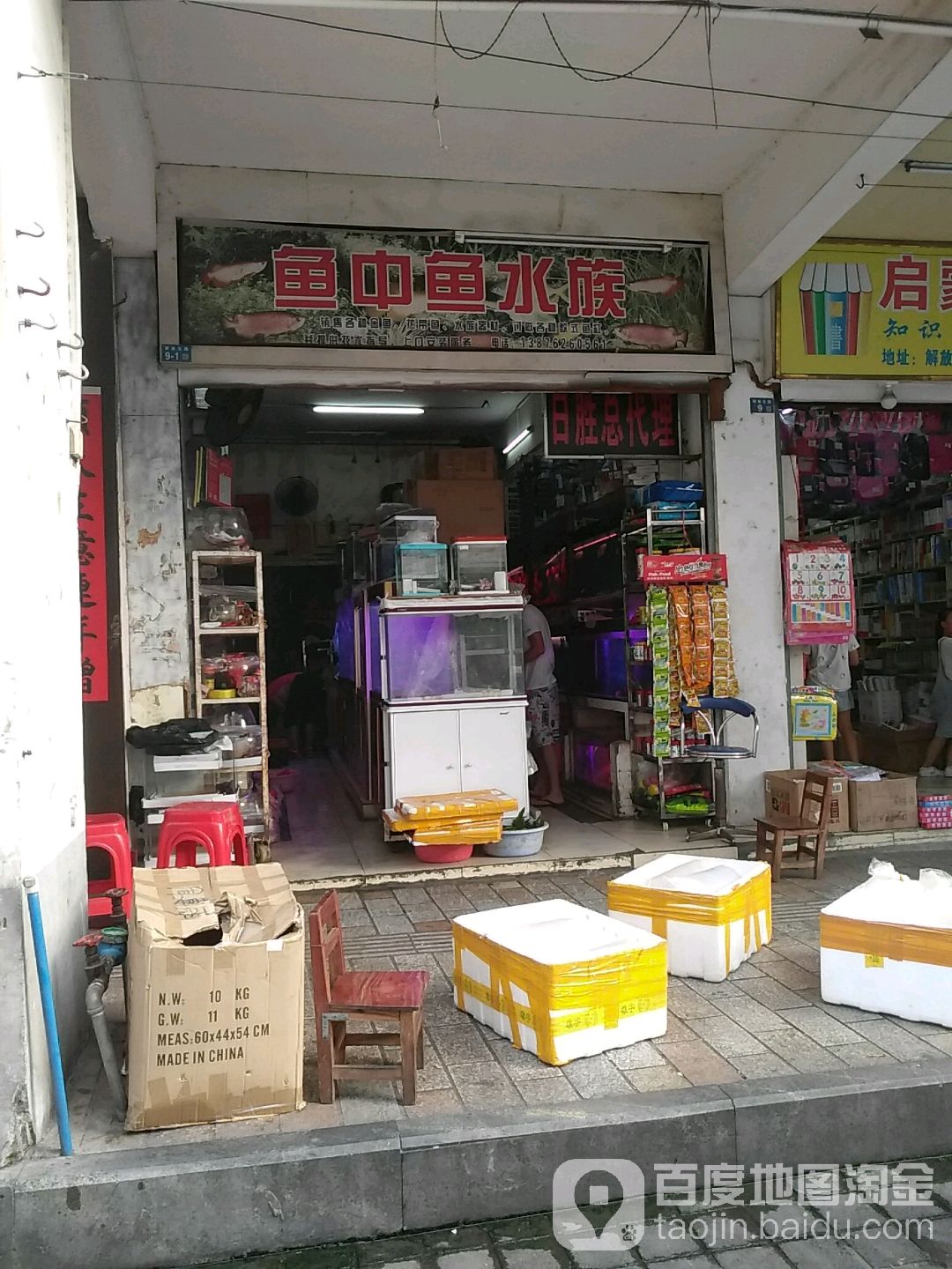 鱼中鱼水族(解放东路店)