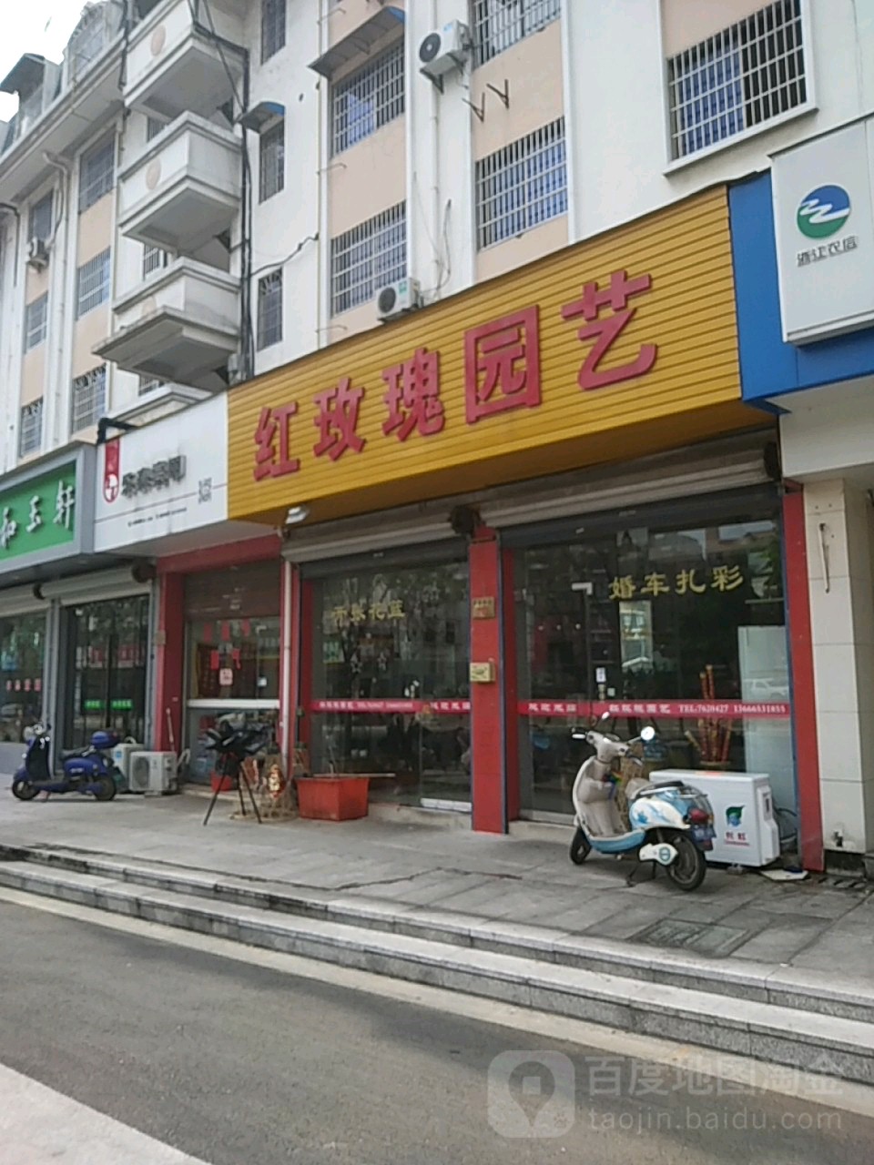 红玫瑰园艺