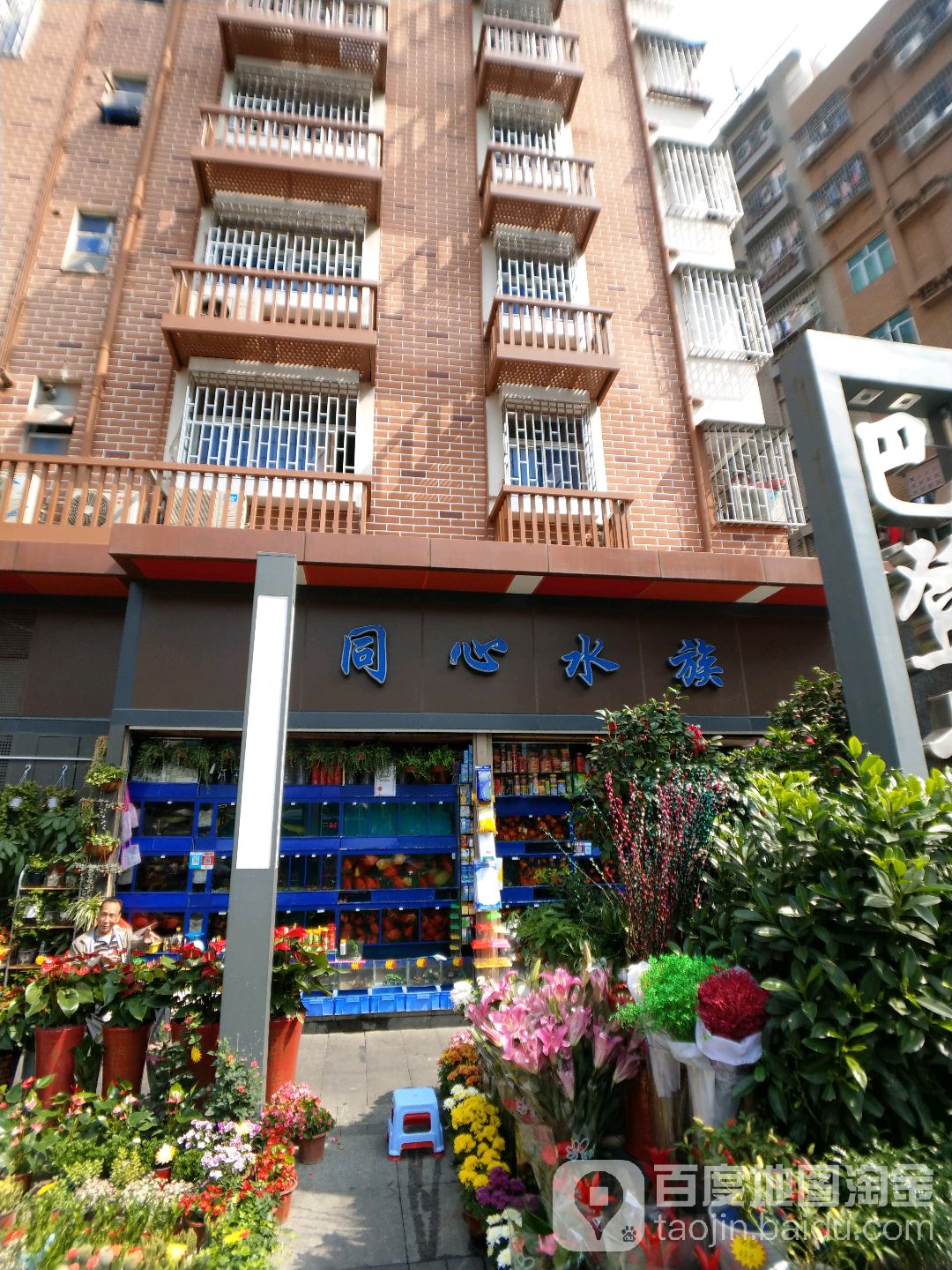 同心水族(新城市广场店)