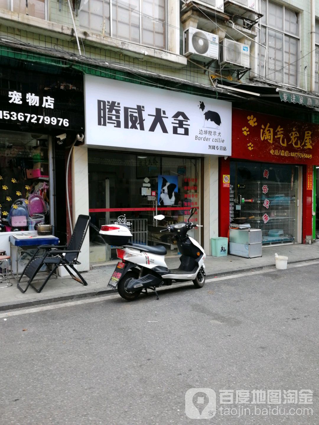 腾威犬舍(兴隆店)