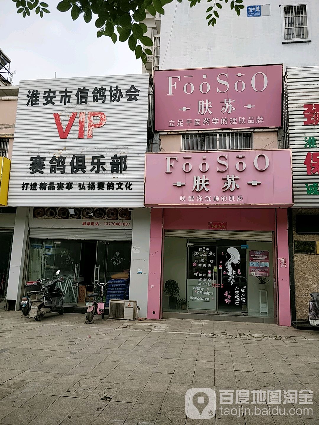 VIP赛鸽俱乐部