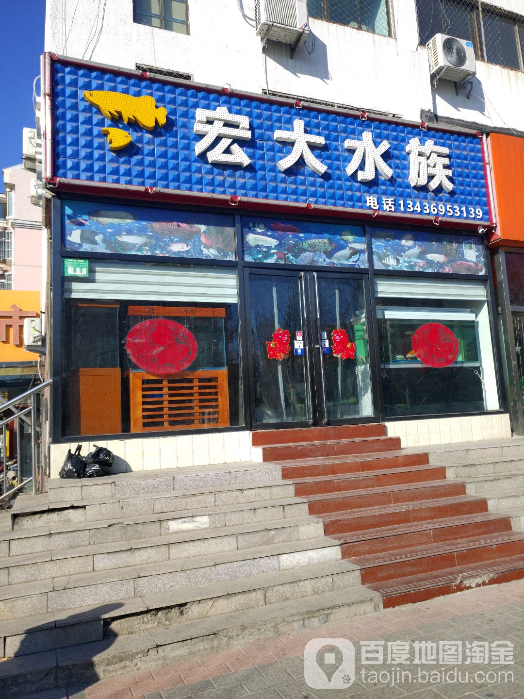 宏大水族