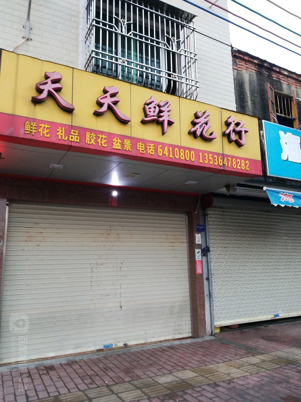 天天鲜花行(红城大道东店)