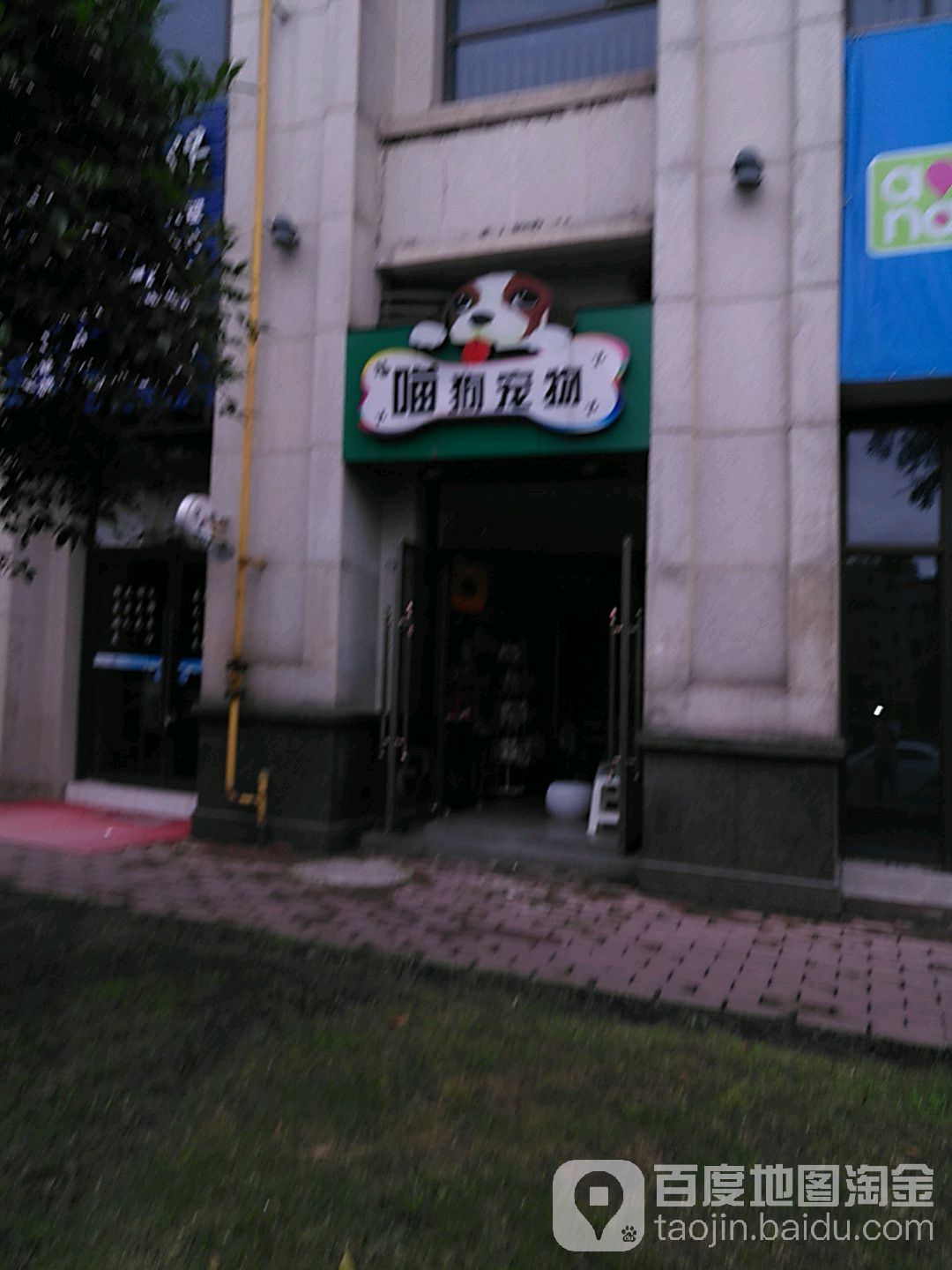 喵狗宠物