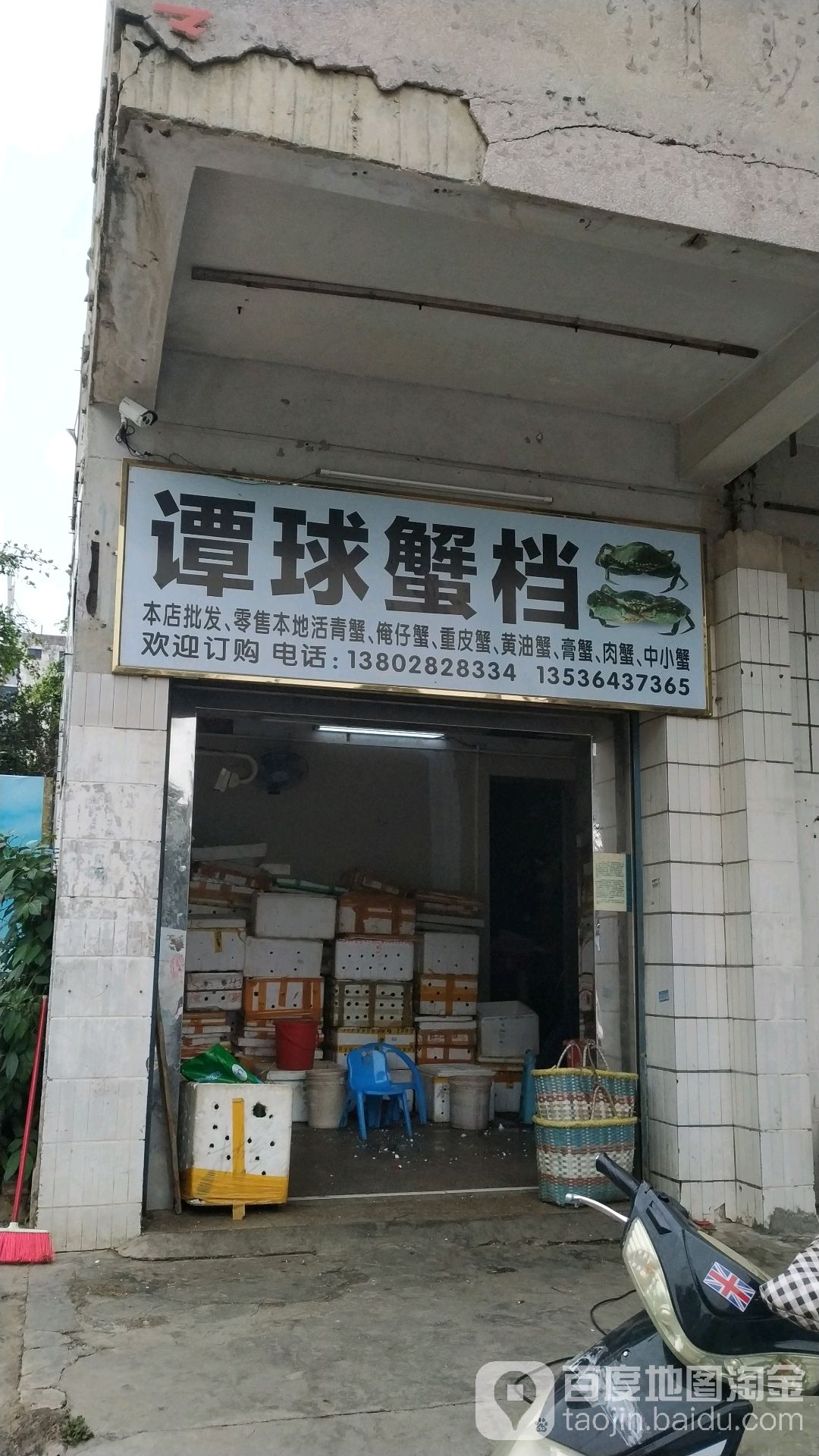 谭球蟹档