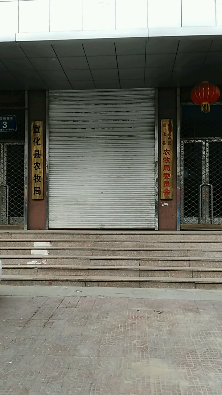 地址(位置,怎么去,怎么走):  河北省张家口市宣化区观音后街