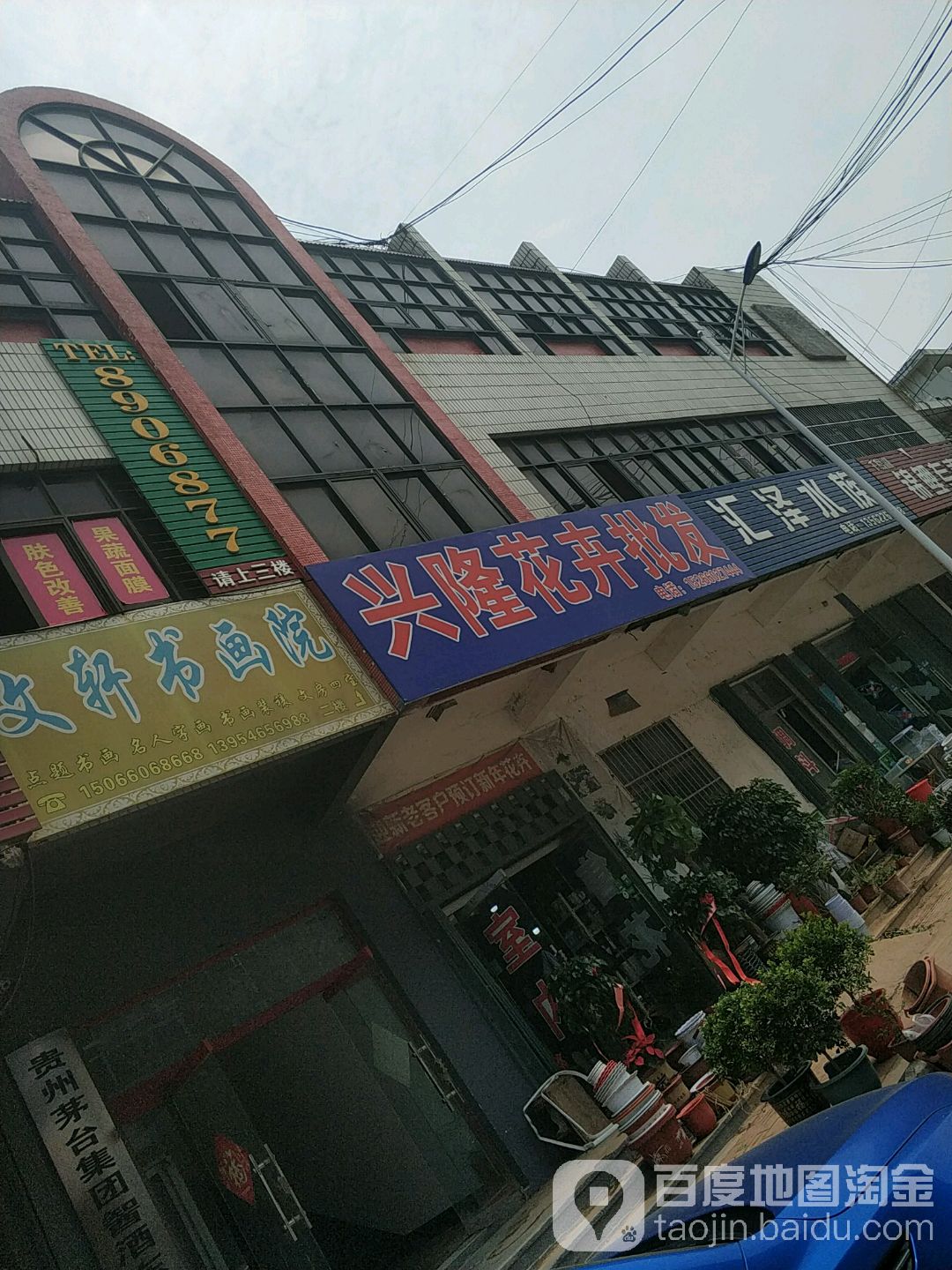 兴隆花卉批发