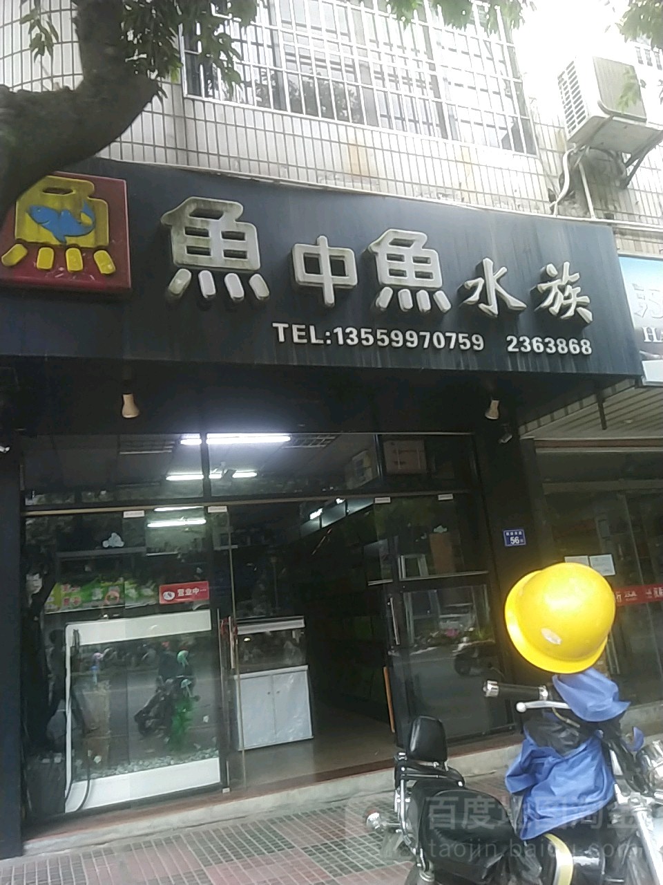 鱼中雨水族(解放南路店)