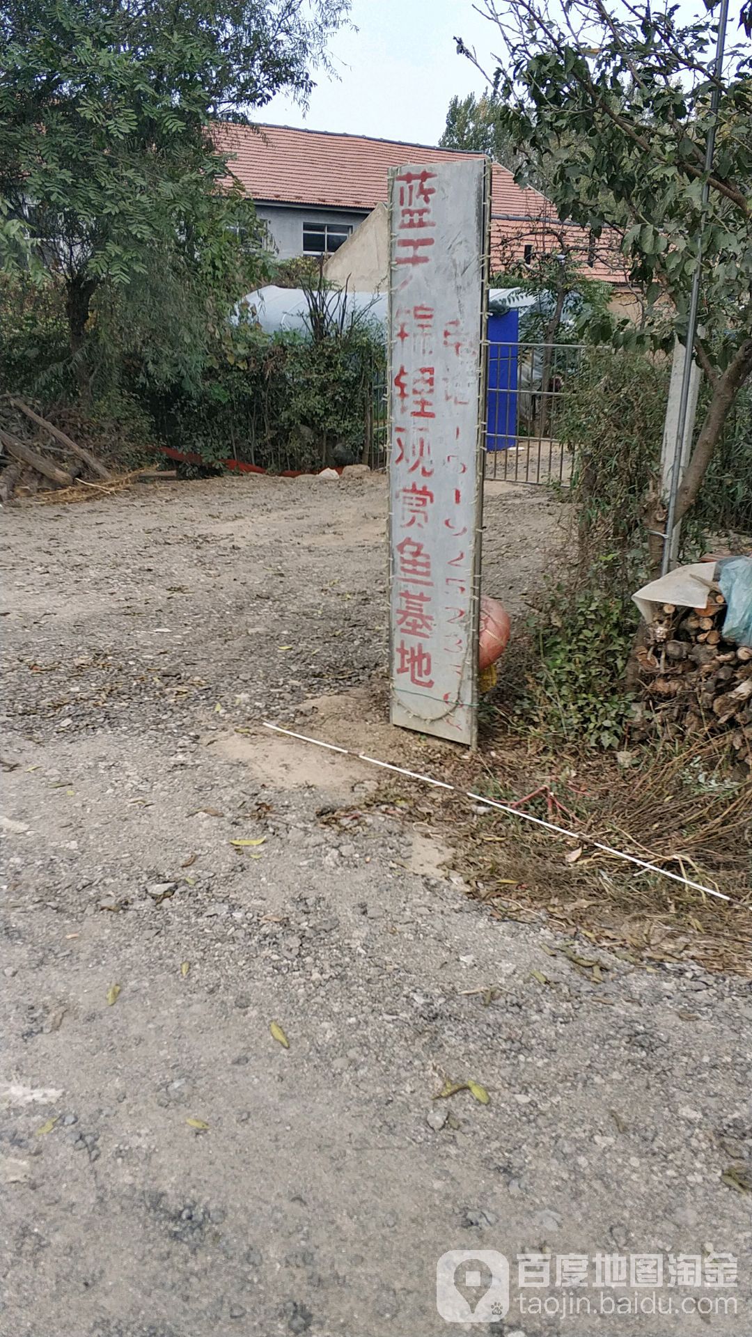 黄岛蓝润锦鲤观赏鱼基地