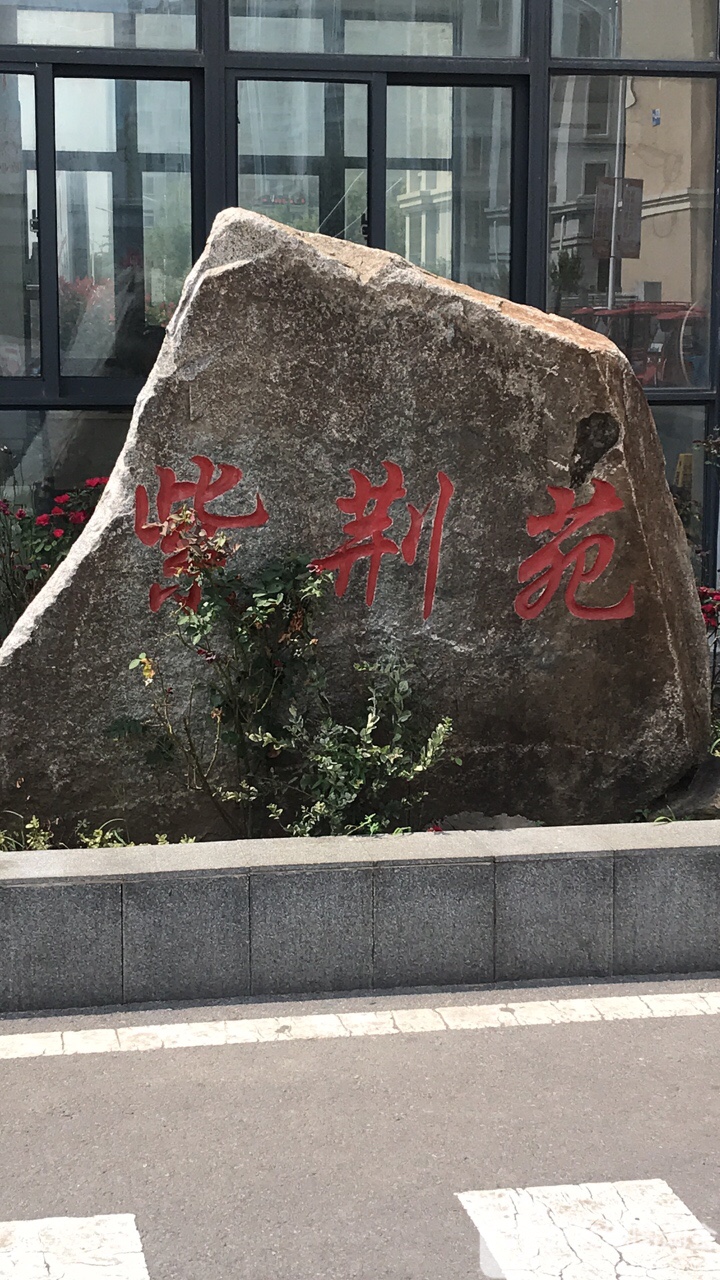 江苏省南京市江宁区禄口街道高伏社区大伏译路紫荆苑