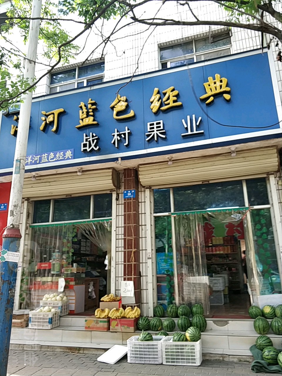 新密市战村果业