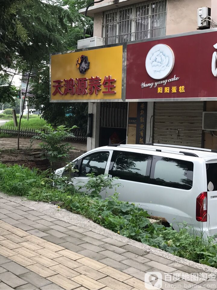 天鸿源养生