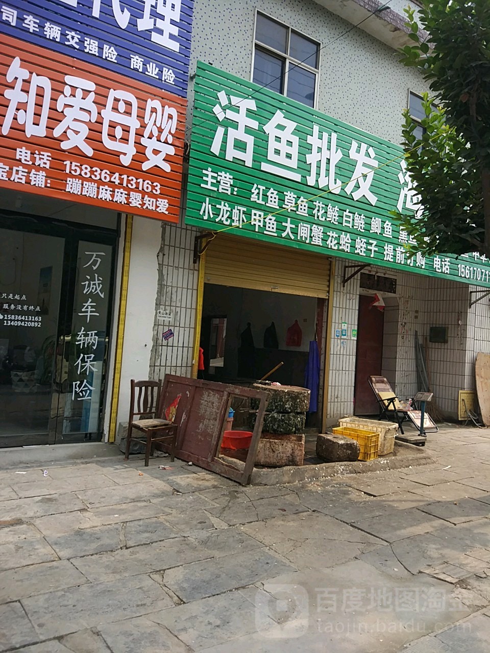活鱼批fa