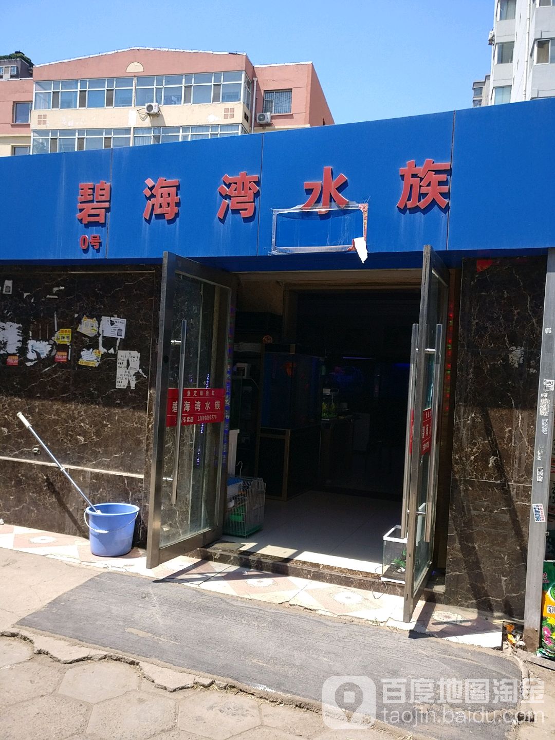 碧海水上族(亲贤花鸟鱼虫市场店)