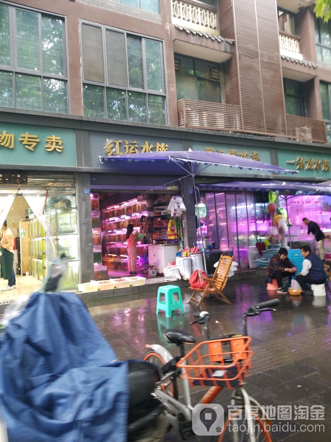 红运水族(新开街店)