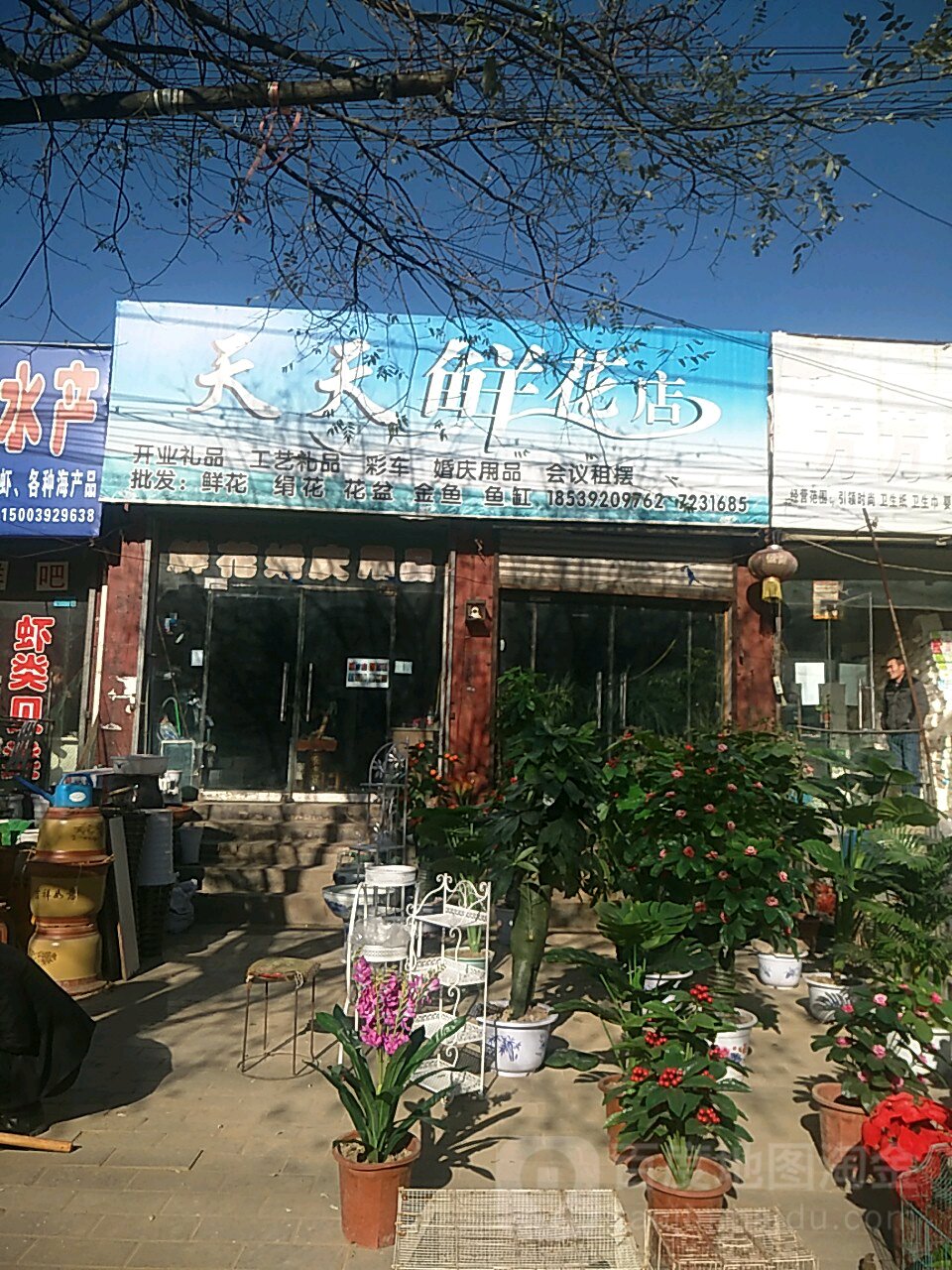 天天富鲜花(上街路店)