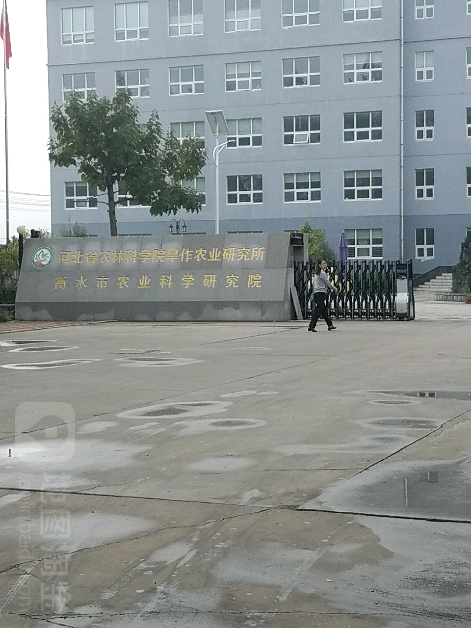 衡水市农业科学yan究院