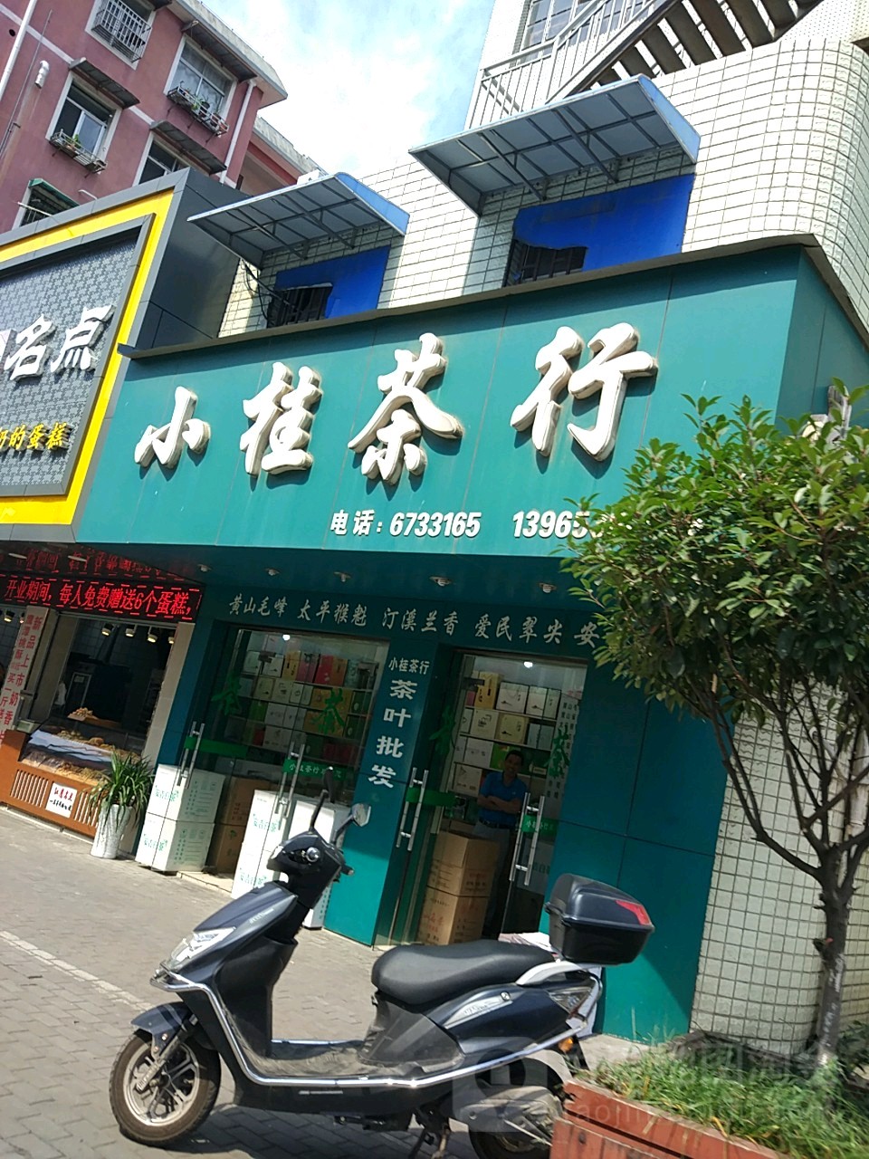 小桂茶行