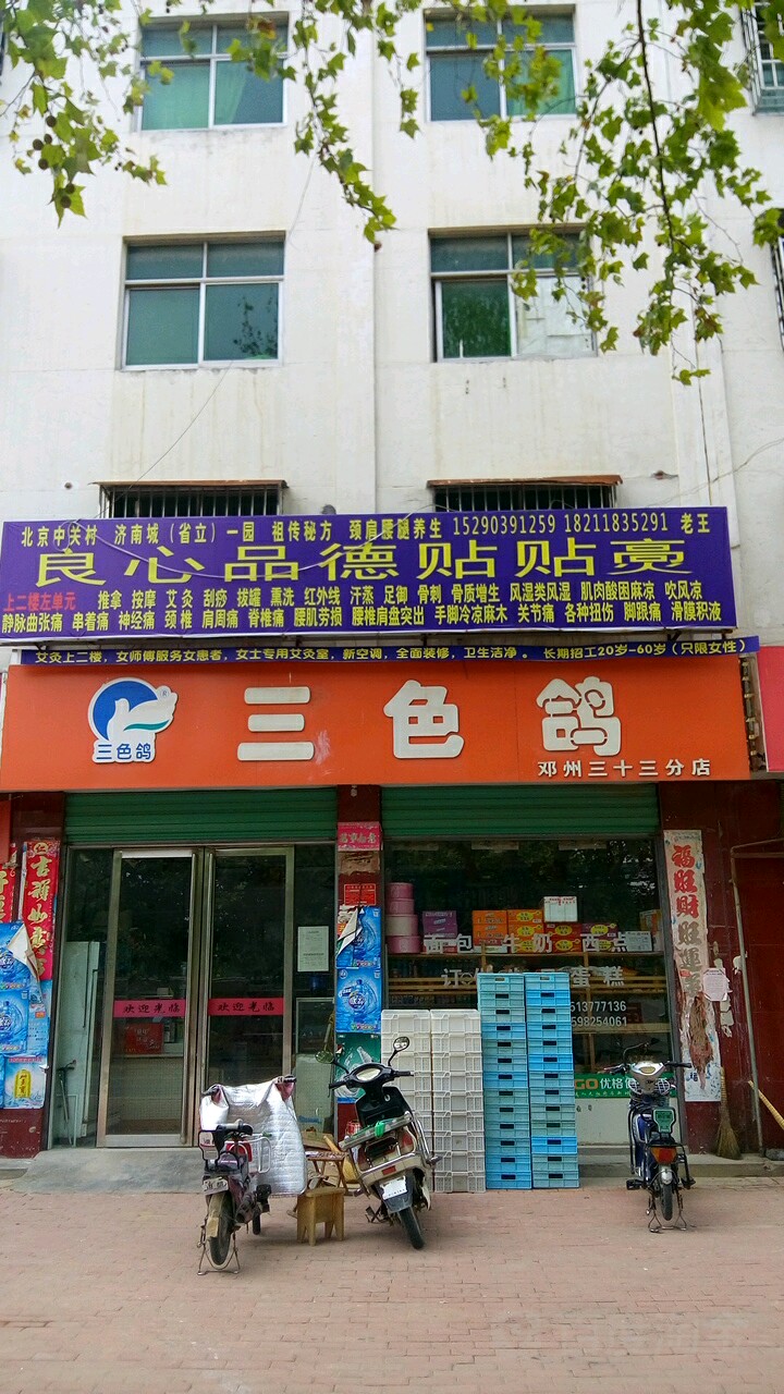 邓州市三色鸽(邓州三十三分店)