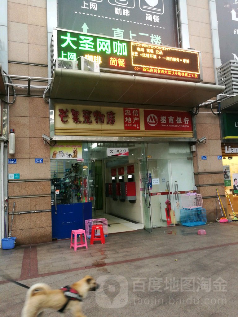 芒果宠物店(罗湖店)