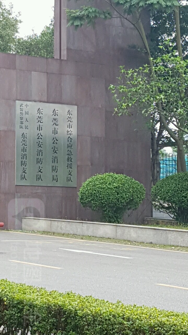 东莞市消防救援支队