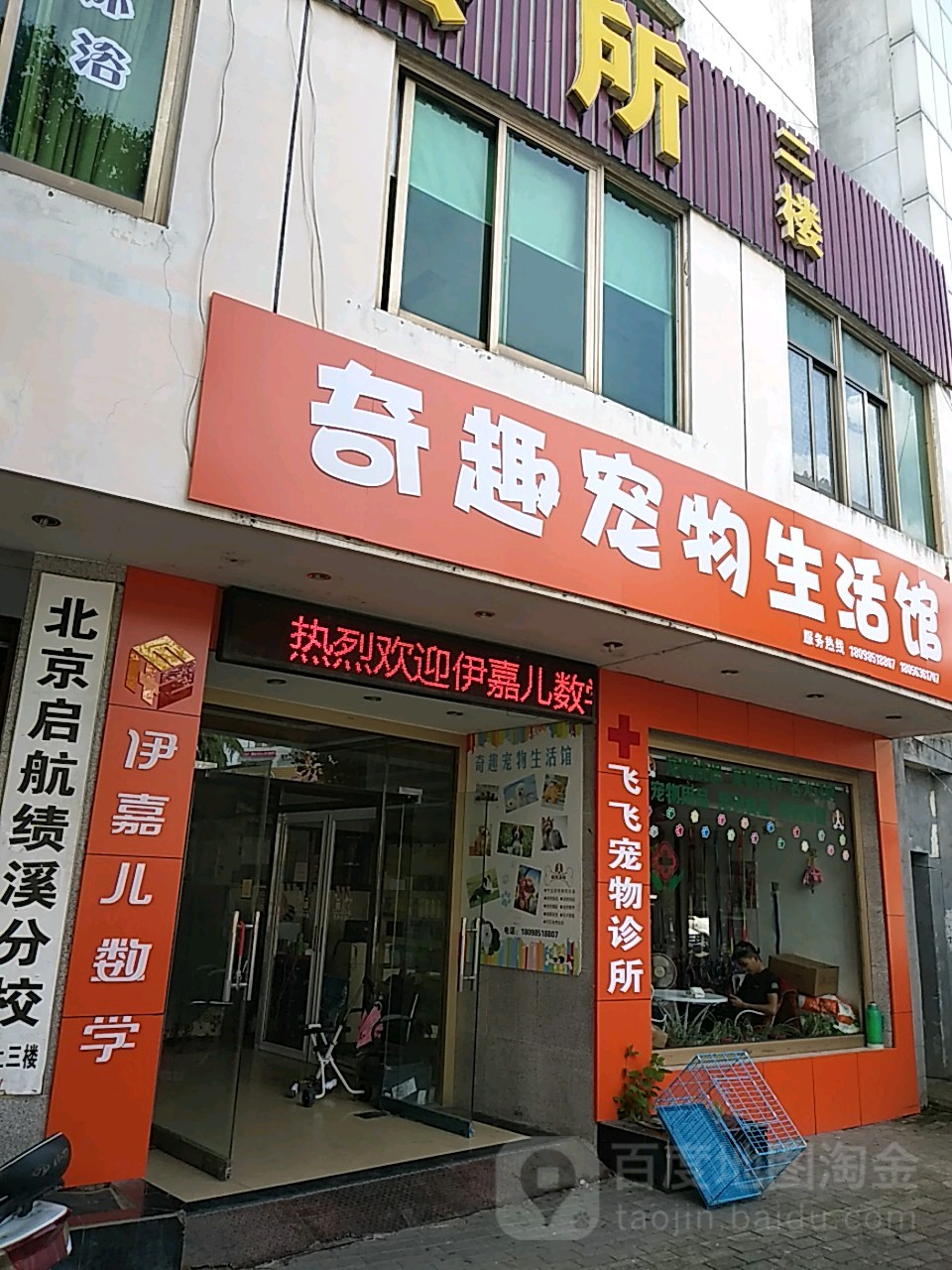 奇趣宠物生活馆(适之街店)